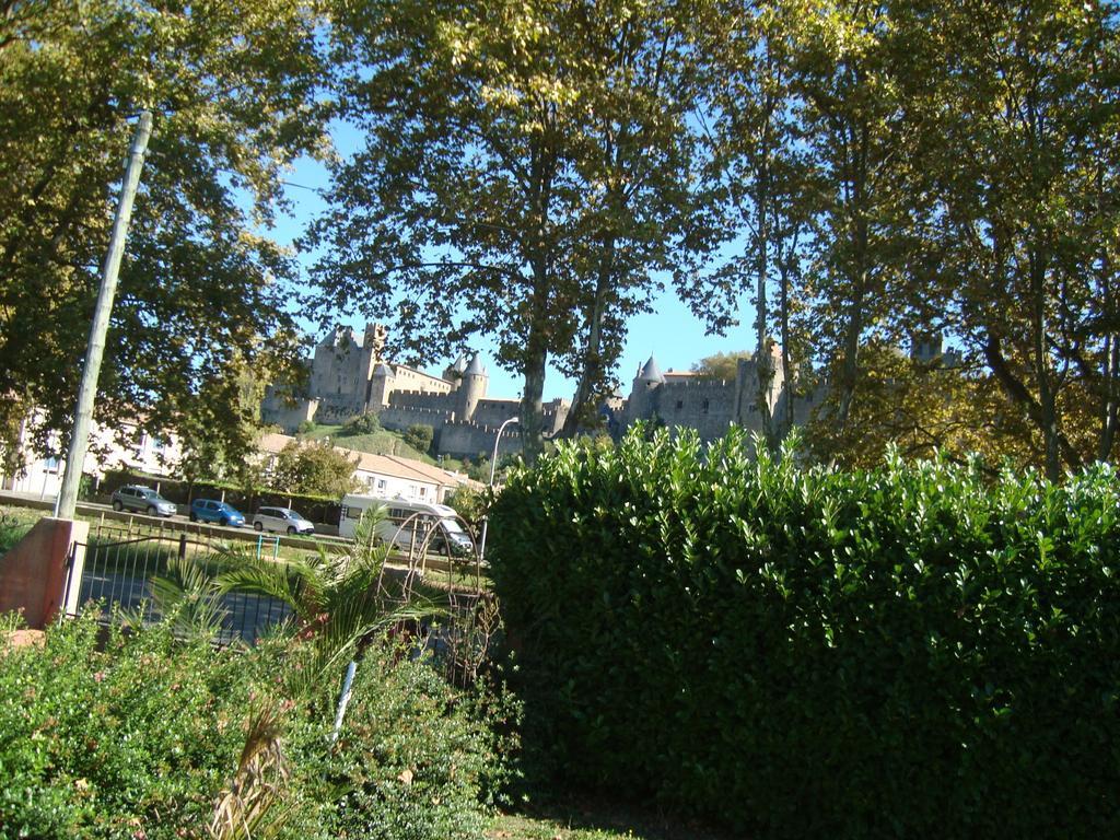 Chambres D'Hotes Les Palmiers De La Cite Carcassonne Exterior photo