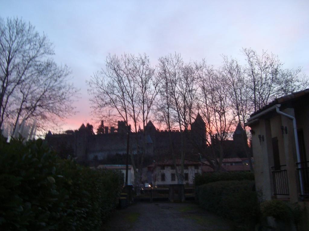 Chambres D'Hotes Les Palmiers De La Cite Carcassonne Exterior photo